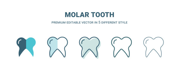 molar tooth icon in 5 different style. Outline, filled, two color, thin molar tooth icon isolated on white background. Editable vector can be used web and mobile