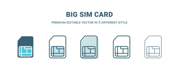 big sim card icon in 5 different style. Outline, filled, two color, thin big sim card icon isolated on white background. Editable vector can be used web and mobile