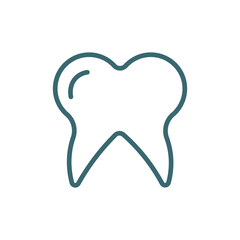 molar tooth icon. Thin line molar tooth icon from medical and healthcare collection. Outline vector isolated on white background. Editable molar tooth symbol can be used web and mobile