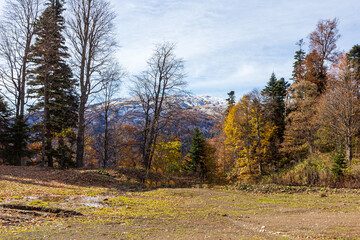 Fototapeta premium mountainous terrain, autumn walks in the bosom of nature,.strolling and contemplating the riot of colors in nature. I