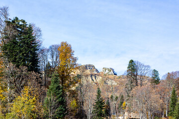 mountainous terrain, autumn walks in the bosom of nature,.strolling and contemplating the riot of colors in nature. I