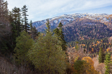 mountainous terrain, autumn walks in the bosom of nature,.strolling and contemplating the riot of colors in nature. I