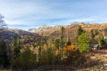 mountainous terrain, autumn walks in the bosom of nature,.strolling and contemplating the riot of colors in nature. I