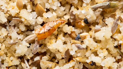 makro pokarmu dla ptaków