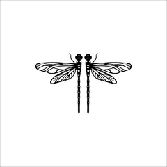 vector illustration of black little dragonfly