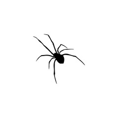 vector illustration of black little spider