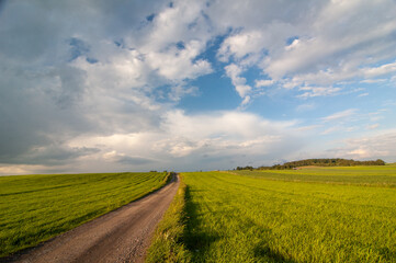 landscape with a field, road and sky