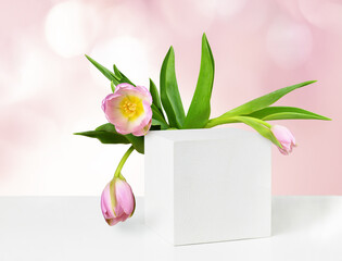 White painted wooden cube on table with pink tulips on soft background.