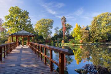 Japanese Garden in Wrocław, Poland. - 578779523