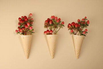 exotic unique pink and red hypericum flower in ice cream waffle cone on bright background. for...