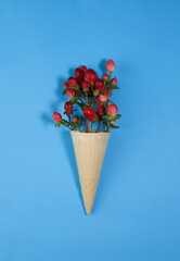 exotic unique pink and red hypericum flower in ice cream waffle cone on bright background. for...