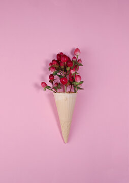 exotic unique pink and red hypericum flower in ice cream waffle cone on bright background. for advertising screensavers labels posters napkins and more