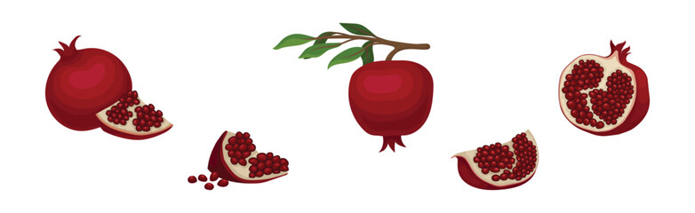 Ruby Pomegranate Fruit with Seeds Inside Vector Set
