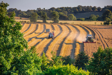 Moisson dans les champs de blé en France en été.