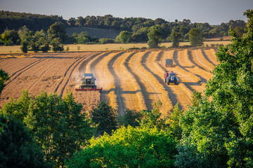 Moisson dans les champs de blé en été en France.