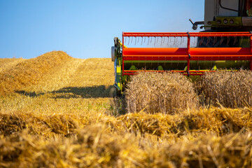 Moissonneuse batteuse récoltant le blé dans les champs en été.
