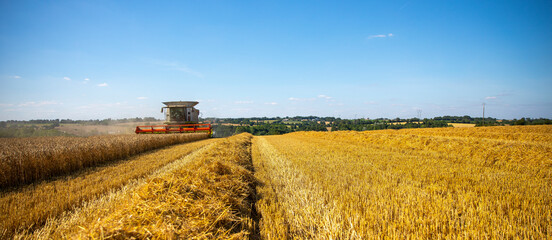 Récolte du blé dans les champs pendant les moissons des céréales en France.