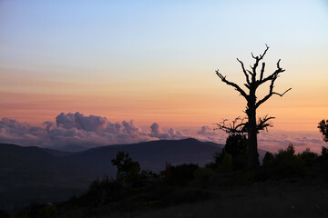 cotton cloud in the horizon. landscape in the sunset.
