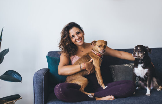 Portrait of cheerful female enjoying leisure time with lovely purebred dogs having fun at comfortable home sofa, Caucasian woman laughing at camera during weekend time with cute mongler doggie