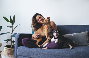 Joyful fit woman having fun with adorable mongrel dogs spending leisure time in home living room,...