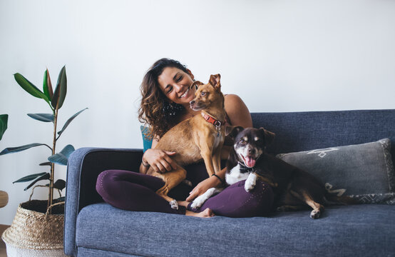 Joyful fit woman having fun with adorable mongrel dogs spending leisure time in home living room, cheerful female resting at comfortable couch with cute doggie pets enjoying friendship indoors