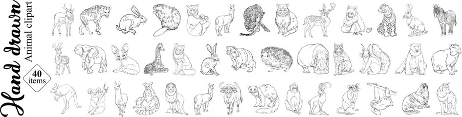 Animal clipart vector illustrations in black and white. 50 vector illustrations of animals. Lion, llama, tiger, wolf, monkey, hippo, giraffe, koala, bear, deer, hare, hedgehog, zebra.