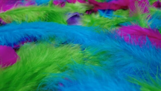 Colorful feather composition in graceful movement. Soft feathered surface, 4k video, slow motion plumage.
