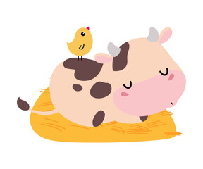 Cute happy spotted baby cow sleeping on hay. Adorable farm animal character cartoon vector illustration