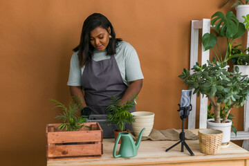 African american girl blogger influencer work on home video camera selfie shoot filming take care home plants and transplanting plant in flowerpot. Home gardening and florist concept.