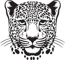 Leopard head Vector Illustration, leopard face, on a isolated background, EPS © Dmytro