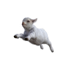 Goat baby character on transparent background. 3d rendering illustration for collage, clipart, composting, pose.