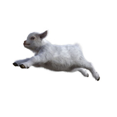Goat baby character on transparent background. 3d rendering illustration for collage, clipart, composting, pose.