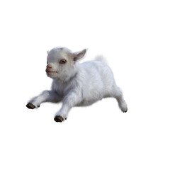Goat baby character on transparent background. 3d rendering illustration for collage, clipart, composting, pose.