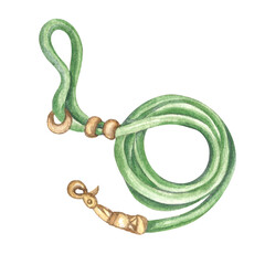 watercolor illustration of a leash with a carabiner for a pet, dog, cat in green color, isolated on a transparent background