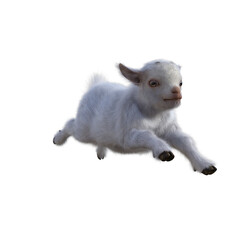 Goat baby character on transparent background. 3d rendering illustration for collage, clipart, composting, pose.