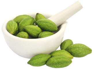 Fresh green medicinal haritaki