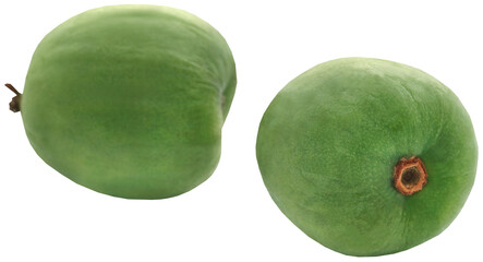 Actinidia arguta known as baby kiwi