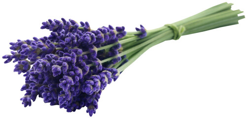 Bunch of lavender flowers - obrazy, fototapety, plakaty