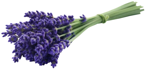 Rolgordijnen Bunch of lavender flowers © Swapan
