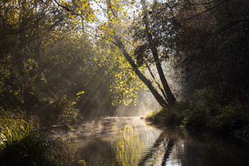 Morning fog in the lake of gorg de la plana, sunny beautiful light 