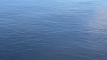 blue water ripples surface.