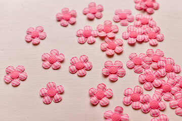 flowers isolated on white background. creative concept of spring and creativity.