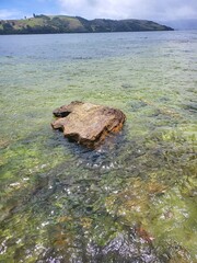 rocks in the water
