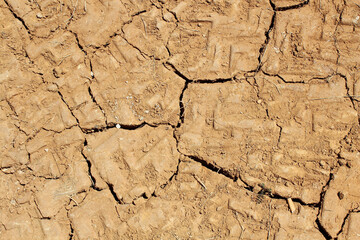 Susza na planecie, popękana gleba z powodu braku wody.  - obrazy, fototapety, plakaty