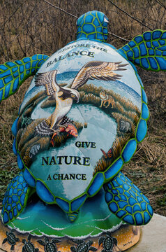 painted turtle sculpture in a park