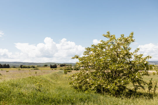 Paysage vert dans le ciel bleu