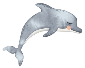 Dolphin in grey color. Underwater cute baby fish.  Aquatic placental marine mammal with flippers and tail.  Hand drawn watercolor illustration of sea fish. Tropical fish for wall sticker, baby shower © Daryartsy
