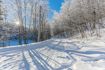 Obraz premium En pleine nature durant L'hiver