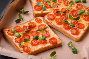 Delicious fresh toast or bruschetta with tomatoes, cheese, herbs, salt and spices