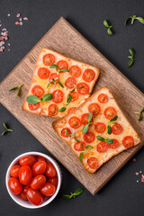 Fototapeta na wymiar Delicious fresh toast or bruschetta with tomatoes, cheese, herbs, salt and spices